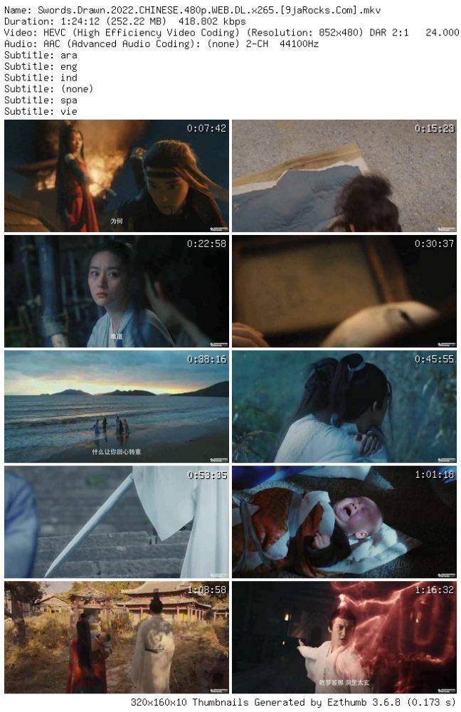 swords-drawn_-2022-chinese-480p-web_-dl_-x265-my9jarocks.info_thumb