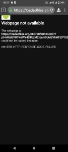 Screenshot_2025_1125_001721